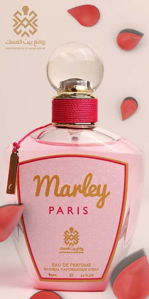 WhatsApp Image 2023-12-09 at 11.44.38 AM (15)